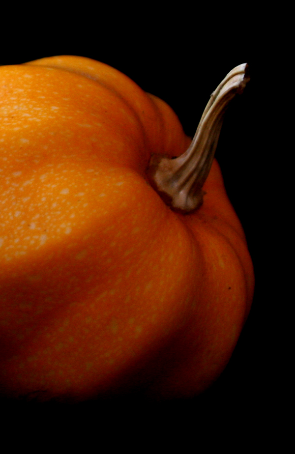 pumpkinstemfb